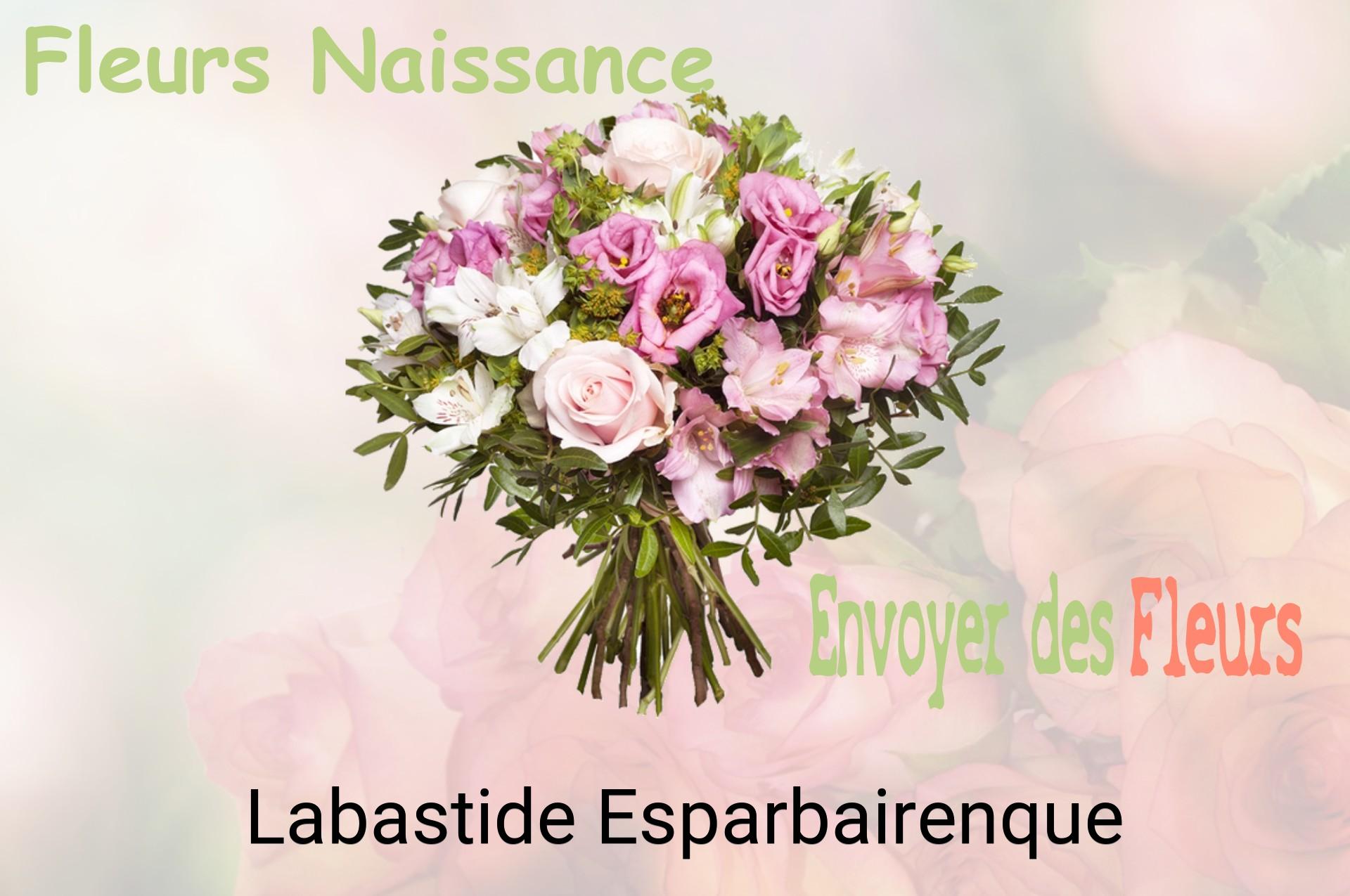 Bouquet de fleurs de naissance livré à Labastide-Esparbairenque